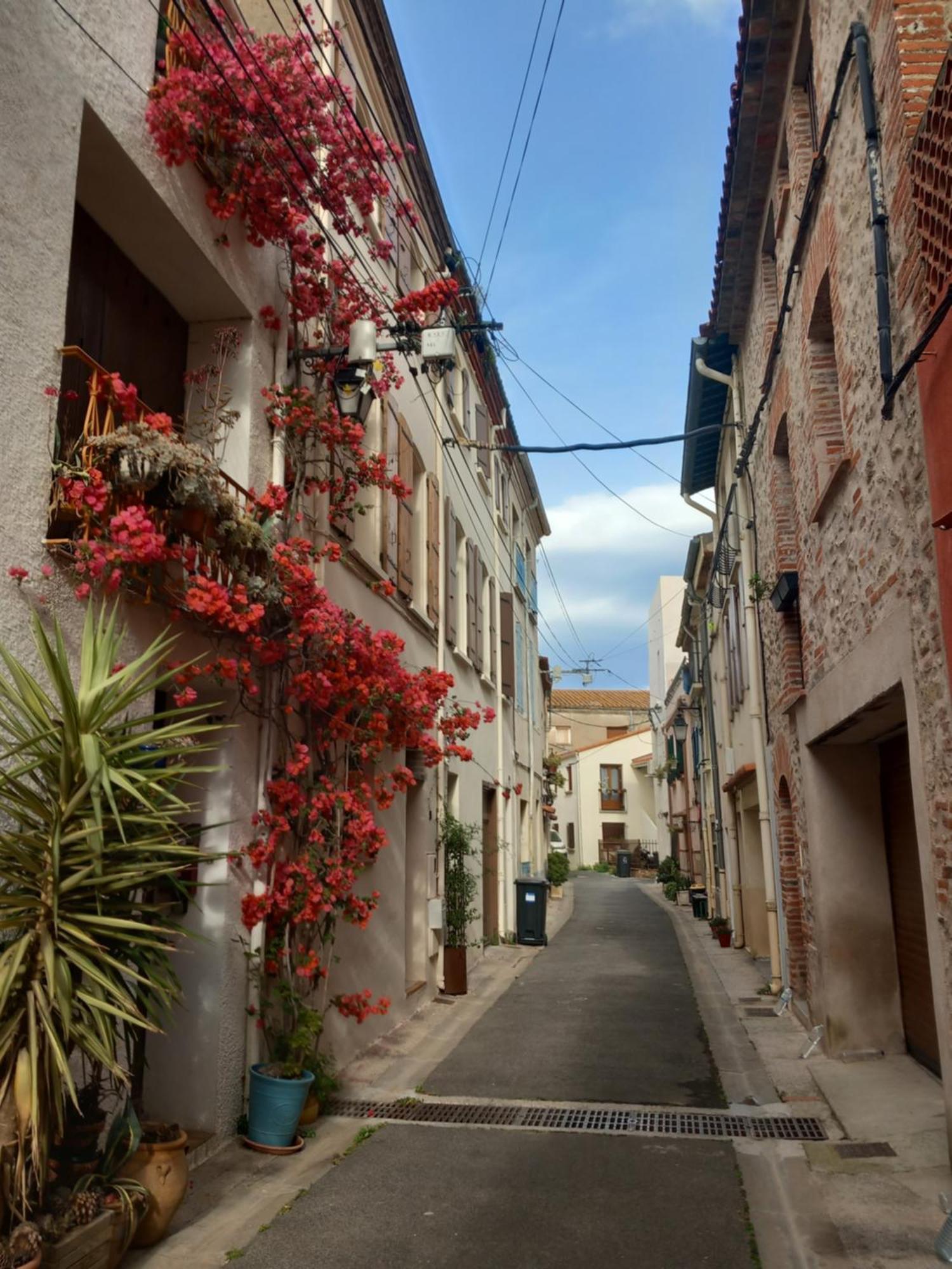 Maison De L'Esprit Catalan Argelès-sur-Mer Zewnętrze zdjęcie
